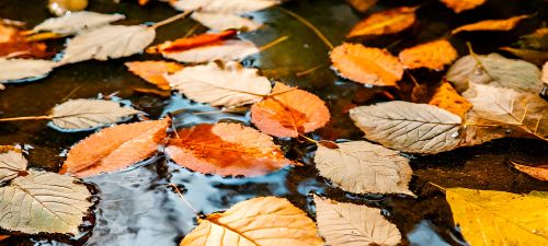 Taken penningmeester vereniging: een compleet overzicht